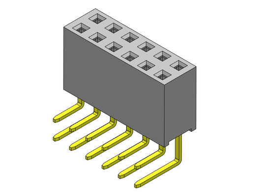 VORMONTIERTES Bad SCHREIBEN 2,54 Millimeter-Neigung weiblichen Titel 1*2 PIN To 1*40PIN H=8.50mm